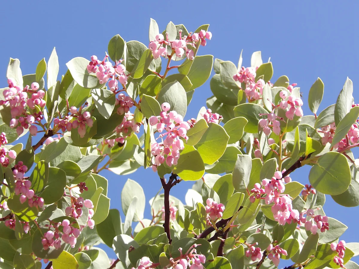 Yahoo lifestyle home