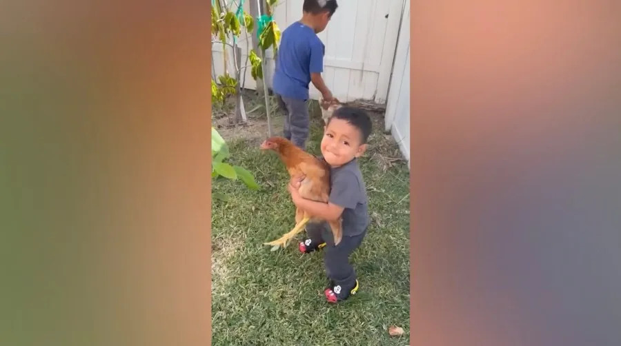 Moreno Valley near drowning