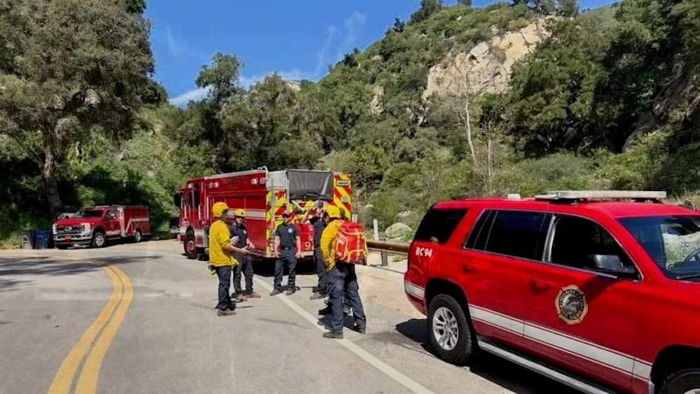 Hiker attacked by fire ants in California is airlifted to hospital