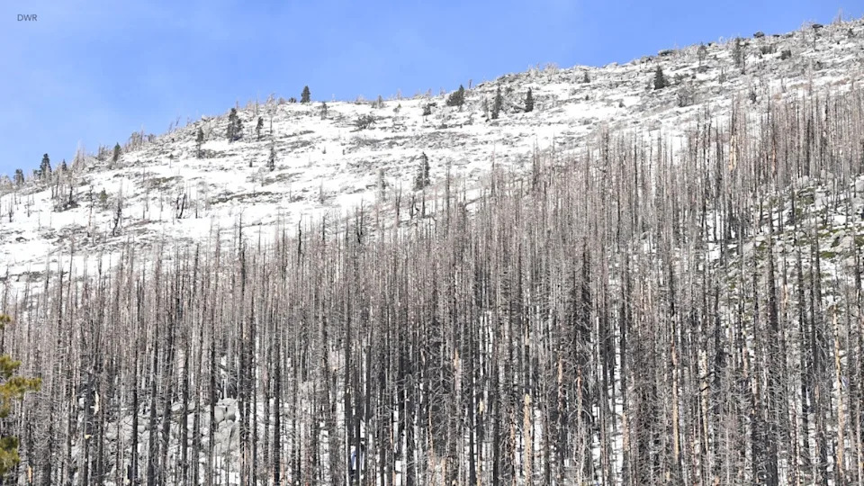 California snowpack falls short in latest Sierra survey