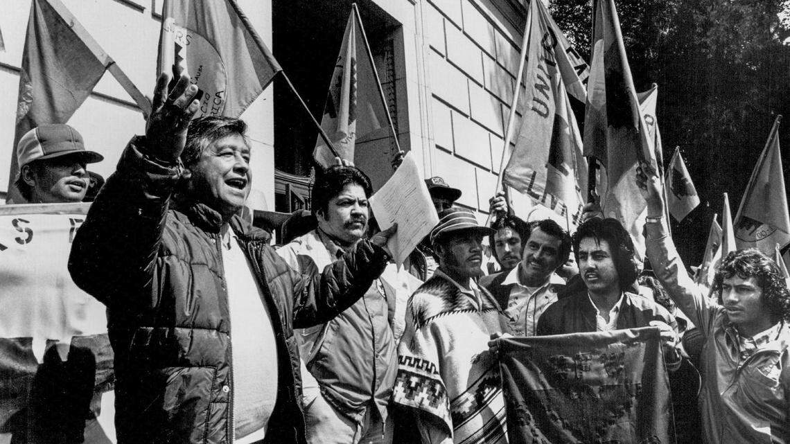 Few recall Cesar Chavez’s meanness. I saw it firsthand