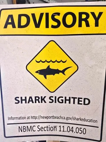 Newport Beach Fire Department put up signs warning the publicCredit: GettNewport Beach Fire Department/Instagramy