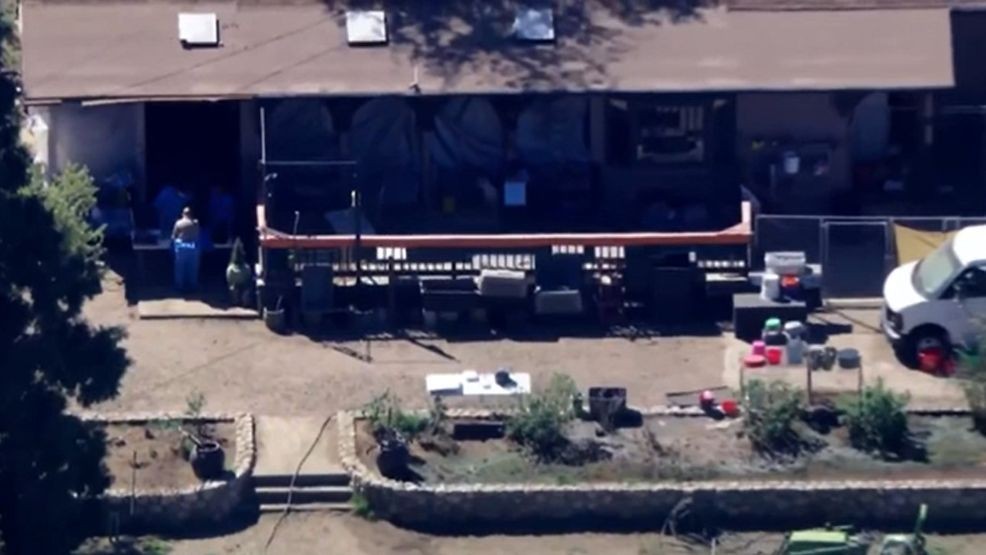 Authorities executed a warrant at a Lake Hughes property, rescuing 700 dogs and cats in what may be the largest animal seizure case in U.S. history. Courtesy: KCAL, KCBS