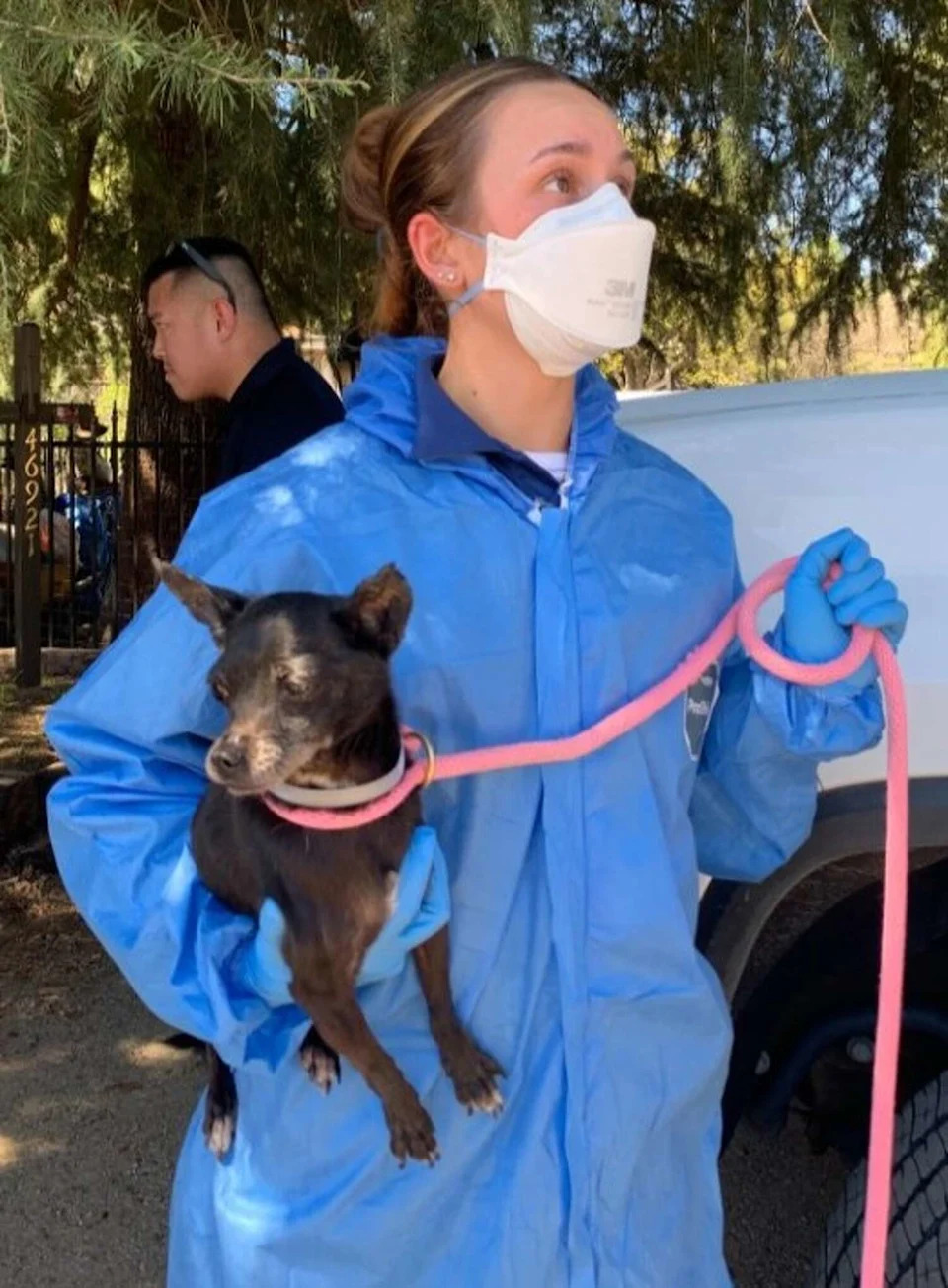 A worker with Los Angeles County Animal Care & Control removes a dog from a shelter during an investigation into reports of animal welfare violations. (Los Angeles County Animal Care & Control)