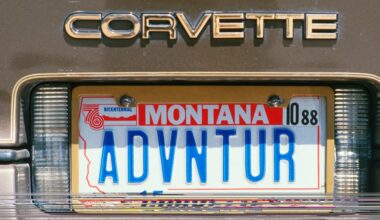 California Senator Introduces Bill to Close Montana Loophole for Good