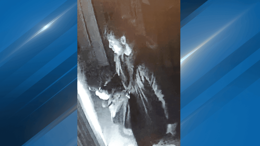 {p}The Bakersfield Police Department is asking for the community’s help in identifying a man accused of breaking into ROSS on Ming Avenue and stealing items from the back room. PHOTO: BPD{/p}