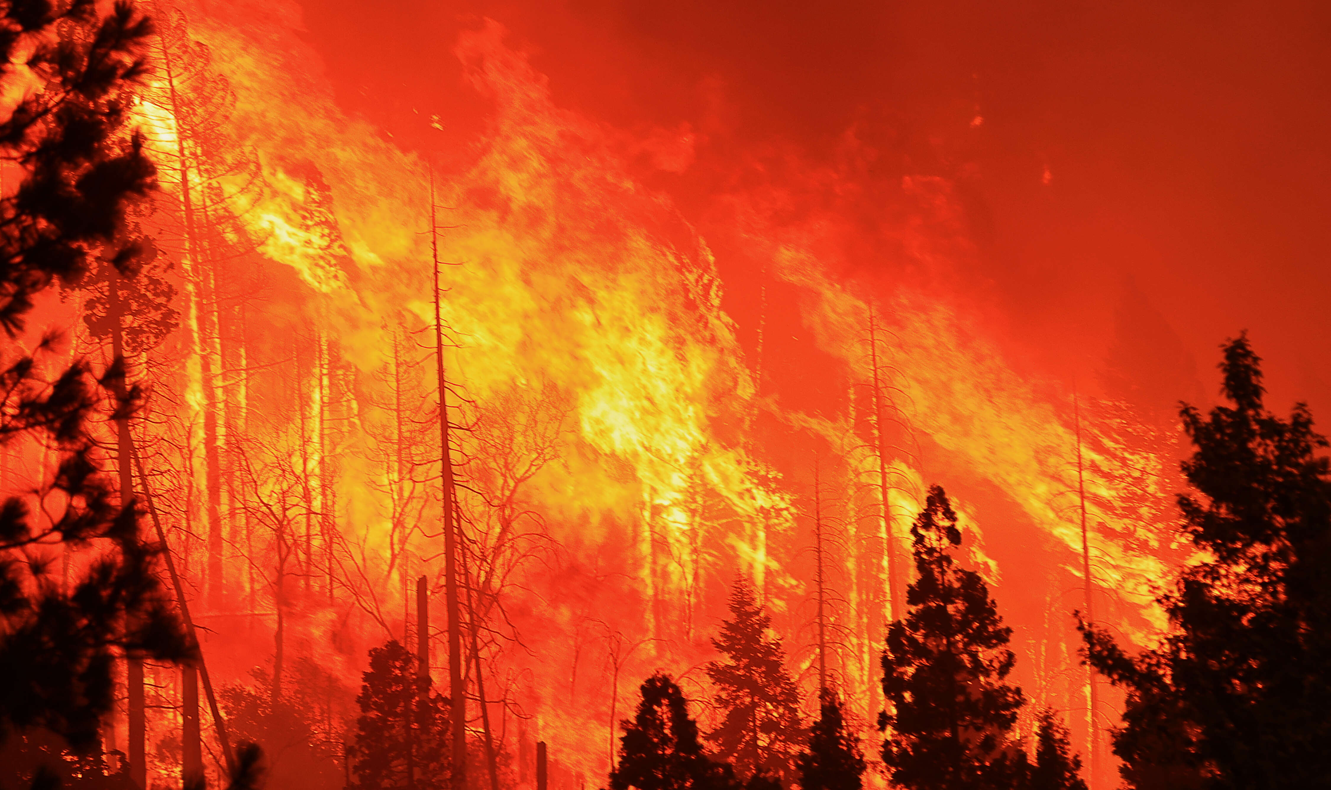 The Dixie Fire started in July 2021 and burned 963,309...