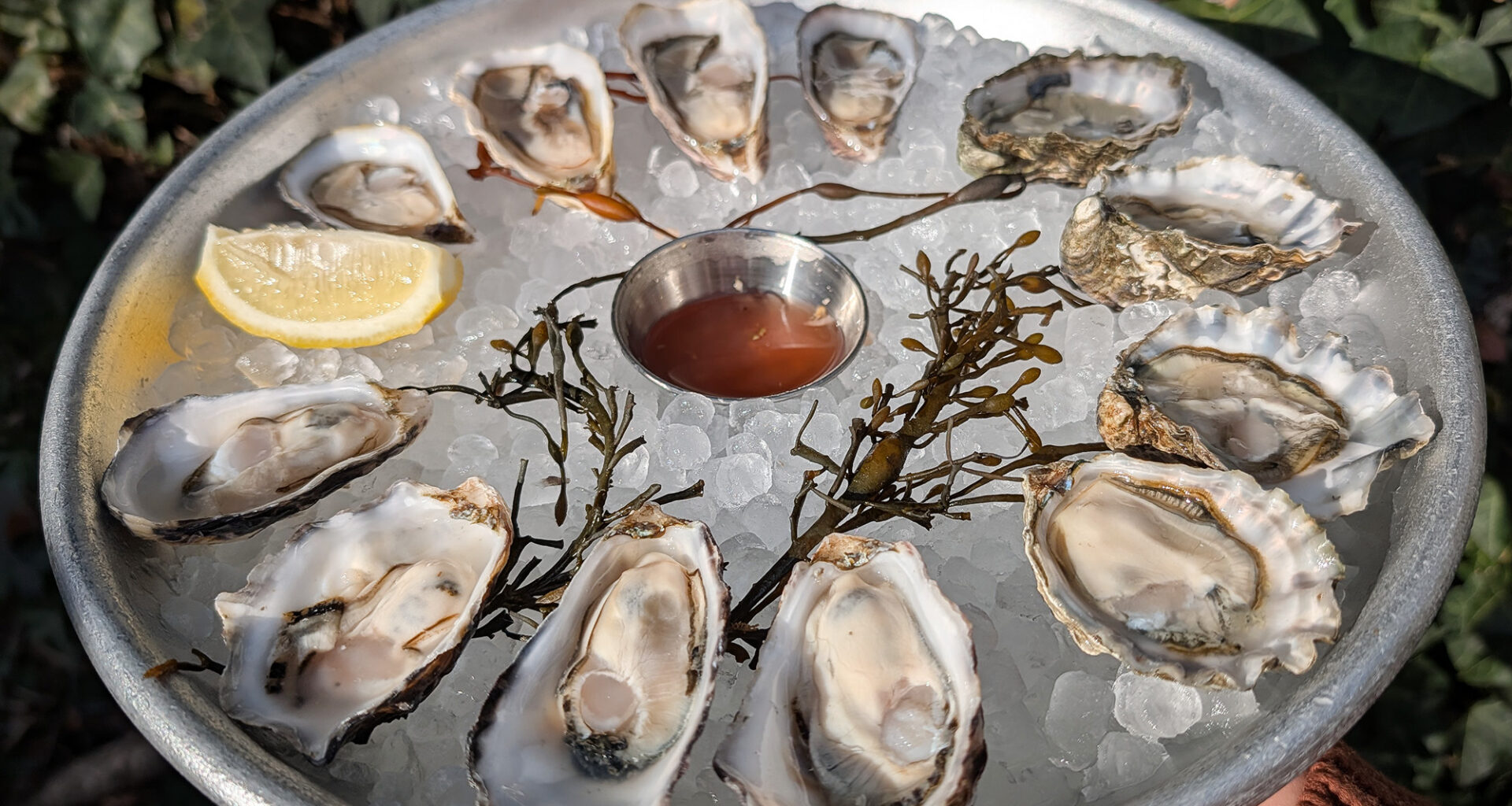 Ace Seafood seeks to reel in a broader audience with revamp and relaunch