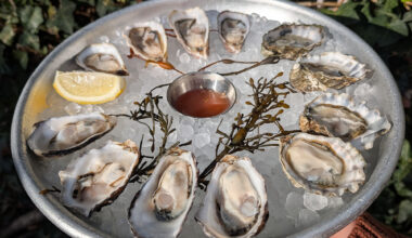 Ace Seafood seeks to reel in a broader audience with revamp and relaunch