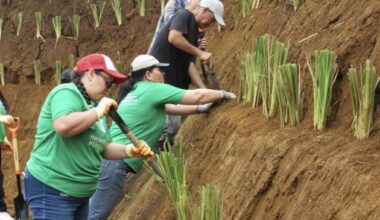 Alameda residents helping to preserve Costa Rican cloud forest