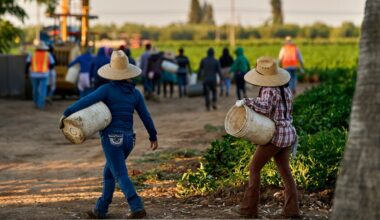 Women farmworkers grapple with Chavez allegations – NBC Los Angeles