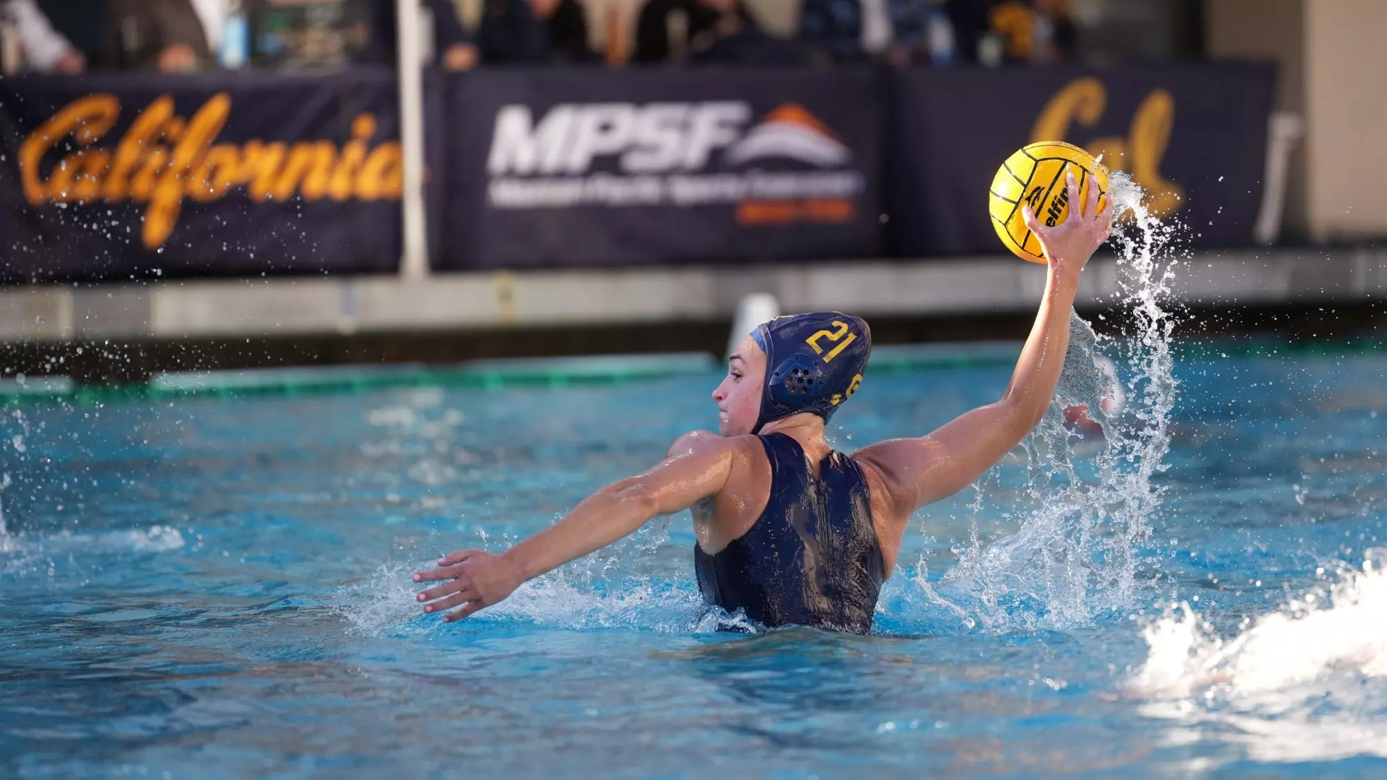 No. 4 Bears Roll Past No. 17 San Jose State