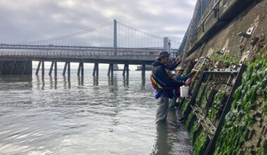 San Francisco's Revamped Seawall Will Teem With Life