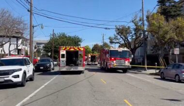 Bear Spray Incident In Alameda Sends Child, Adult to Hospital, Injures Four Others