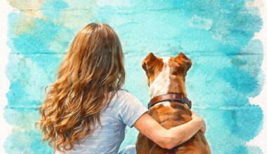 I chose the turquoise wall