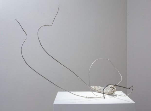 An exhibit of works by artist Anya Gallaccio runs through May 23 at Quint Gallery in La Jolla. (Quint Gallery)