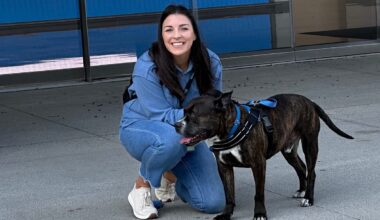 Could your pet be Long Beach's Favorite?