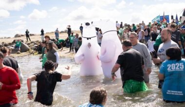 Attendees, some dressed as inflatable bears, jump into Millerton Lake during the 2025 Fresno Polar Plunge. (Northern California Special Olympics)