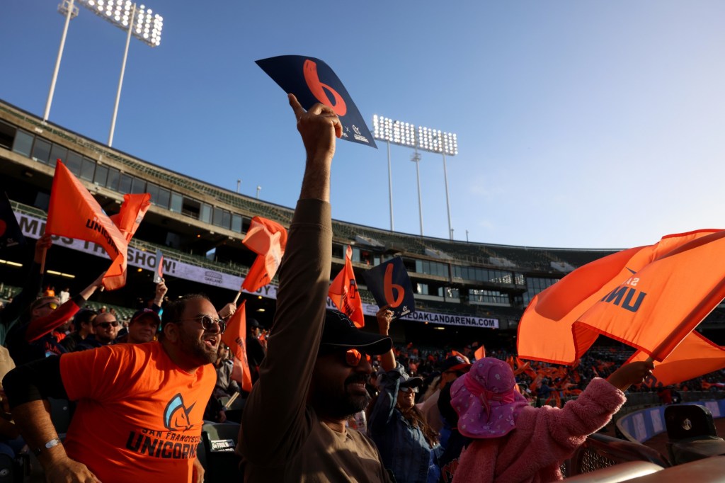 Oakland Coliseum to host Major League Cricket playoffs, title match in July – East Bay Times