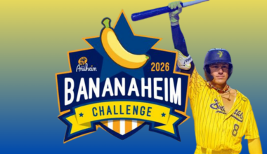 Bananaheim Challenge Savannah Bananas Scavenger Hunt