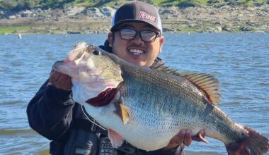 Fresno-area fishing report: stripers, bass, trout bites