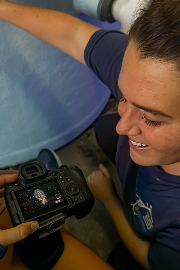 Senior Aquarist for Animal Health, Maddy Tracewell, looks at a photograph of the newly hatched Red Octopuses.