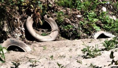 How to fix the pollution in the Tijuana River? A new report lays out the multi-step solution