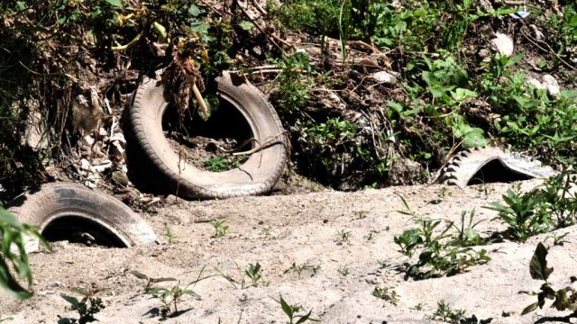 How to fix the pollution in the Tijuana River? A new report lays out the multi-step solution