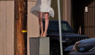 Bryan Barcena on California Gothic: a Bus Tour