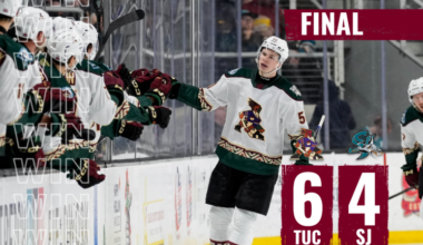 Tucson Roadrunners Hockey