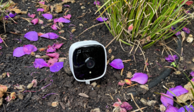 A small white and black security camera is placed on dark soil among scattered purple flower petals and some green grass.