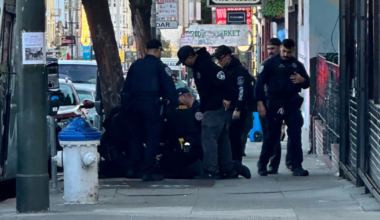 Several police officers apprehend a person on a city sidewalk near parked cars and a blue-capped fire hydrant under a "No Parking" sign.