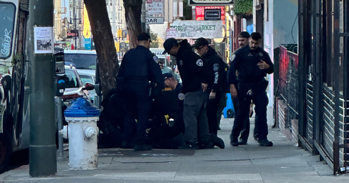 Several police officers apprehend a person on a city sidewalk near parked cars and a blue-capped fire hydrant under a "No Parking" sign.