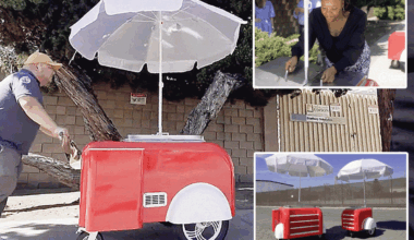 Los Angeles gives out free food carts as restaurants 'smashed' with red tape