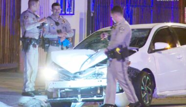 Pedestrian killed in Los Angeles hit and run