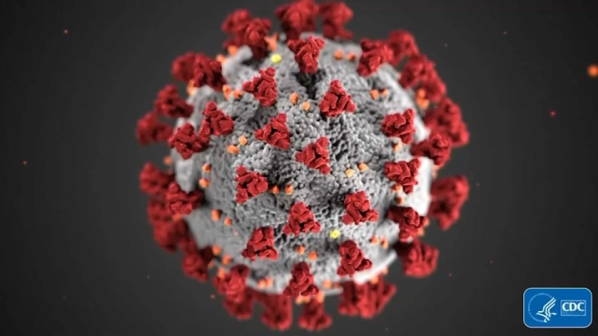 Thousands in LA County still suffer from effects of long COVID – NBC Los Angeles