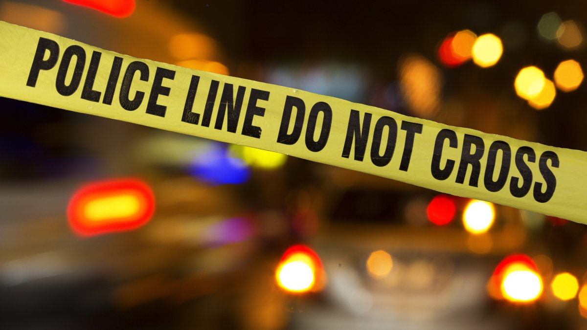 Santa Monica Pier shooting leaves 2 injured after fight, police say – NBC Los Angeles