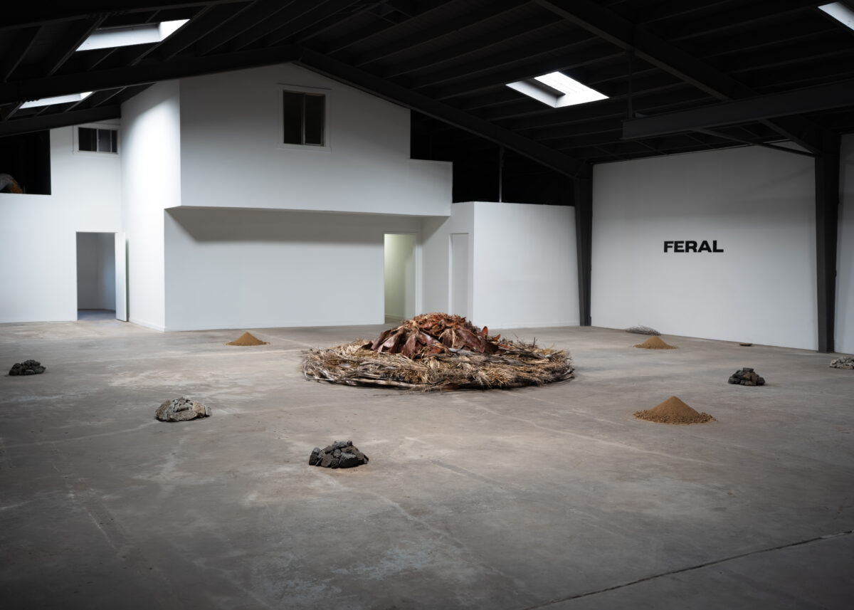 Feral warehouse art installation