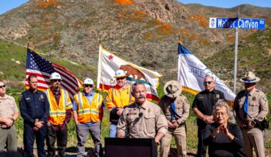 California sheriff running for governor seizes more than a half million ballots from 2025 election