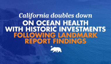California doubles down on ocean health with historic investments, following landmark report findings
