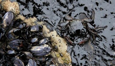 State challenges federal order allowing offshore drilling