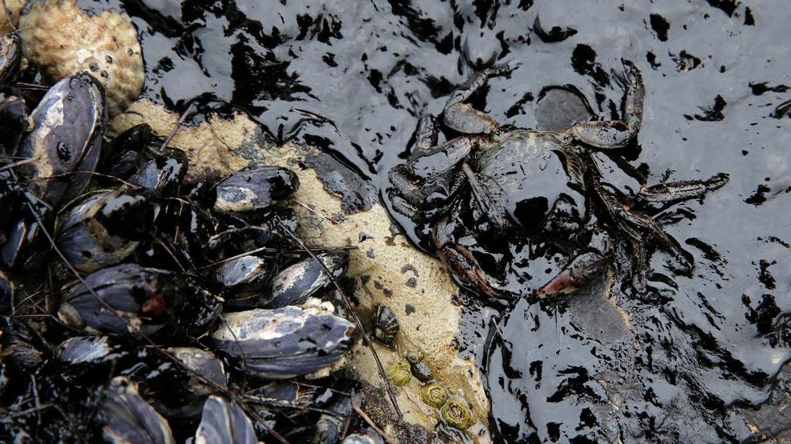 State challenges federal order allowing offshore drilling