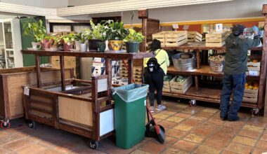 The Dark Horse returns as Pony Express