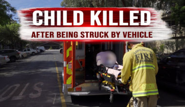 Child Killed After Being Struck by Vehicle in Long Beach – ONSCENE.TV