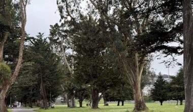 Group to Protest Over Plan to Install 20 Acres of Astroturf at Crocker Amazon Park