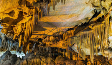 National Park Service Reopens California's Stunning 'Crystal Cave' For Second Summer After 4-Year Closure