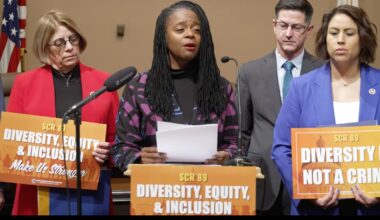 California Lawmakers, Advocates Rally To Affirm DEI