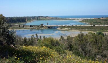 Things to do include nature walks, concerts, Easter activities and more – San Diego Union-Tribune