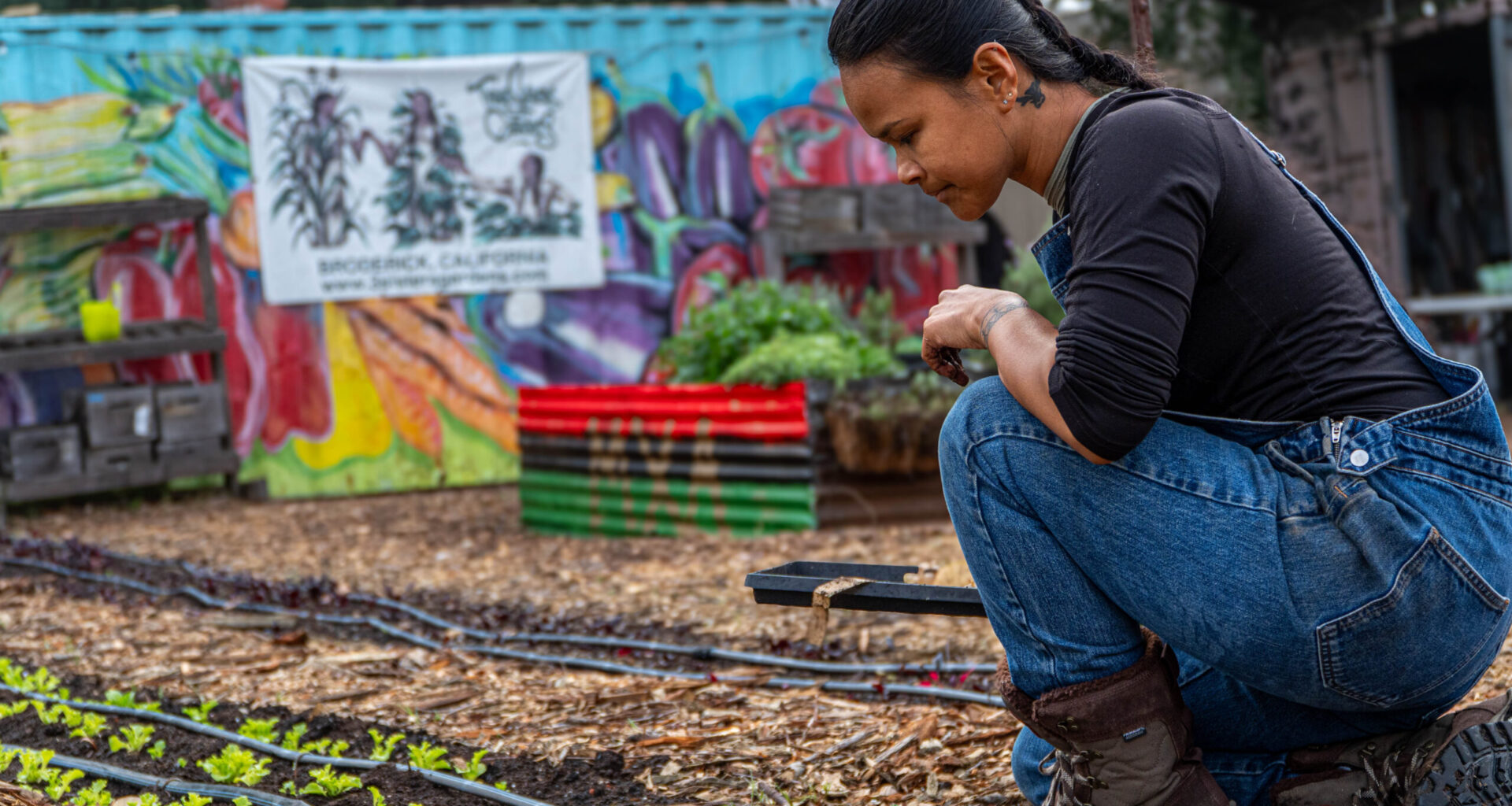 Woman looking at crops