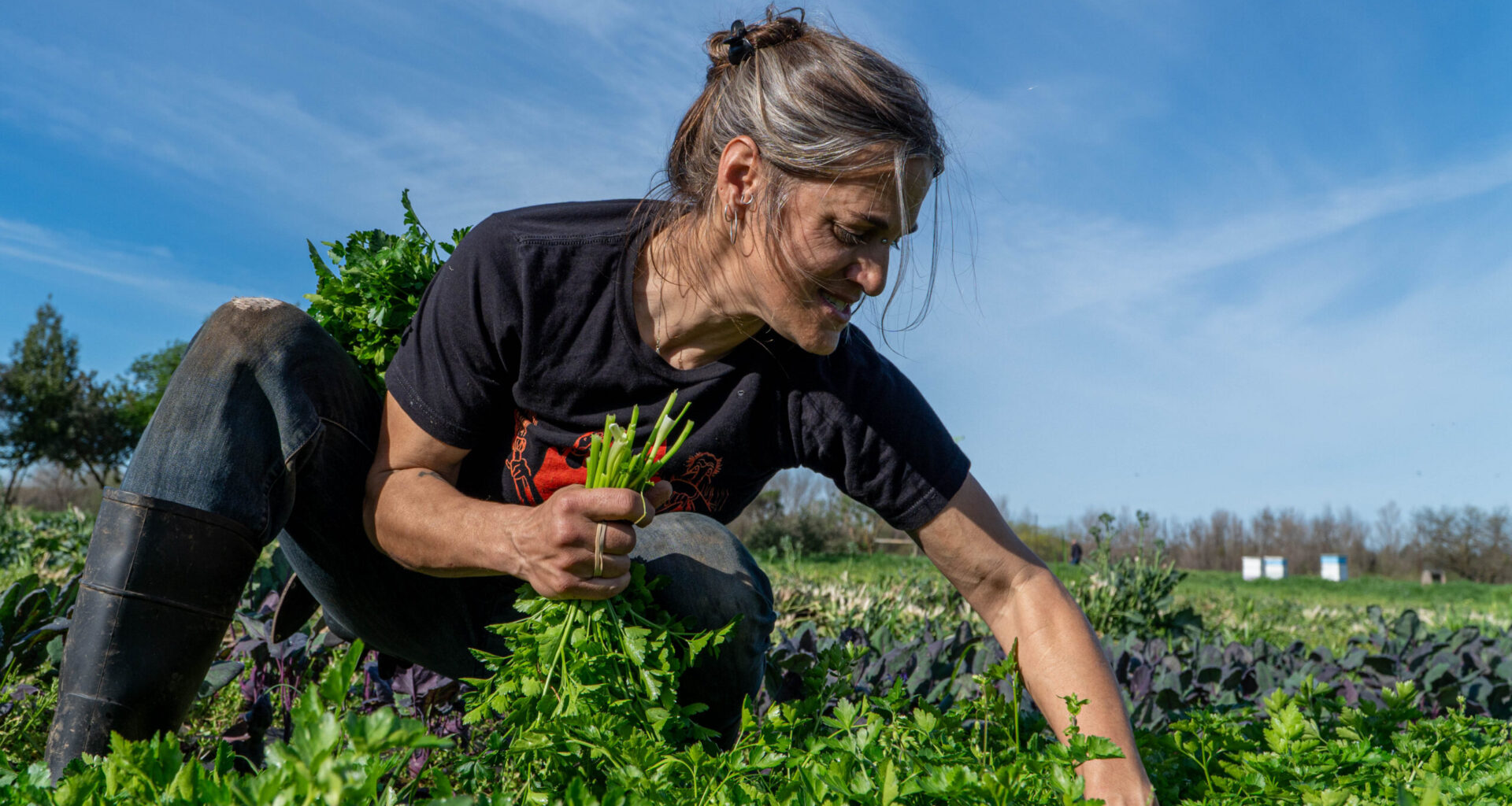 How Soil Born Farms reshaped Sacramento’s food ecosystem